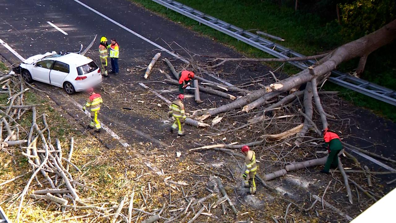 Beeld uit video: Schade, gewonden en files: dit richt storm Ciarán aan in Nederland