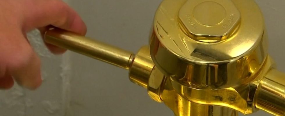 Vier Maenner im Vereinigten Koenigreich wegen Diebstahls einer goldenen Toilettenschuessel