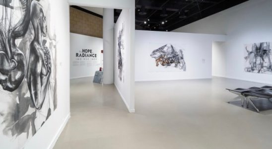 Wie Inversion Art versucht der Y Kombinator der Kunstwelt zu werden