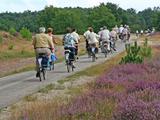 Ouderen fietsen op de hei