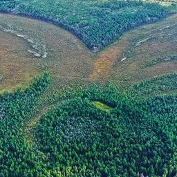 Archaeologen finden Ueberreste der aeltesten kuenstlichen Festung Sibiriens Wissenschaft