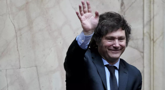 Argentiniens gewaehlter Praesident Javier Milei antwortet auf Musks Interesse „Wir