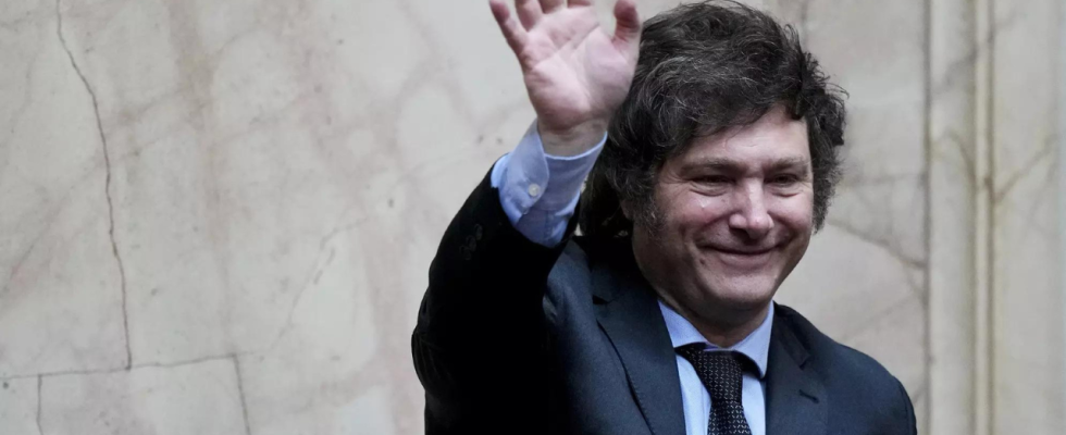 Argentiniens gewaehlter Praesident Javier Milei antwortet auf Musks Interesse „Wir