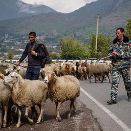 Armenien und Aserbaidschan arbeiten daran das Vertrauen und das Friedensabkommen