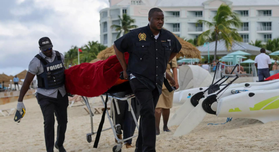 Belgischer Tourist kommt bei einem Tierangriff im mexikanischen Pazifikkuestenresort Zihuatanejo