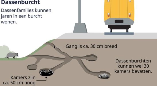 Die Entfernung der Dachssiedlung in der Naehe von Boxtel wird