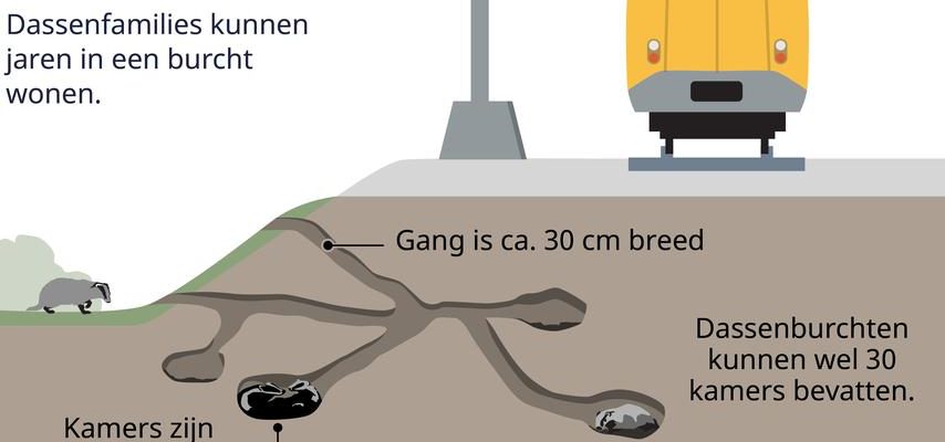 Die Entfernung der Dachssiedlung in der Naehe von Boxtel wird