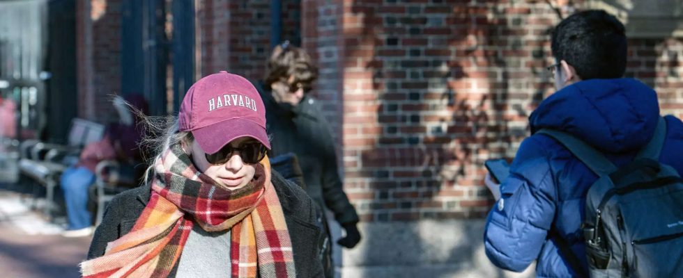 Harvard Streit um Antisemitismus Die fruehen Bewerbungen fuer das Harvard