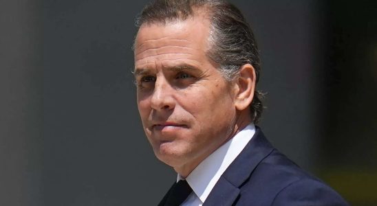 Hunter Biden Wie Hunter Biden Millionen fuer „Erwachsenenunterhaltung und einen