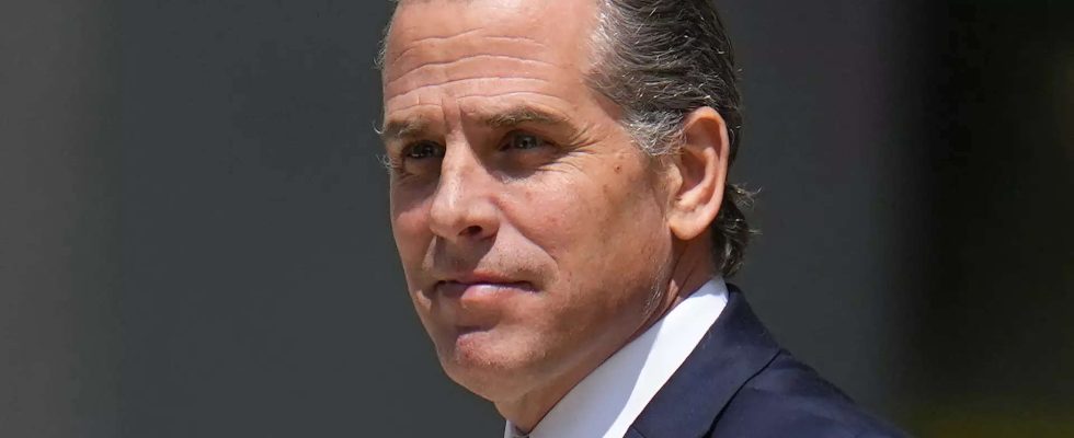 Hunter Biden Wie Hunter Biden Millionen fuer „Erwachsenenunterhaltung und einen