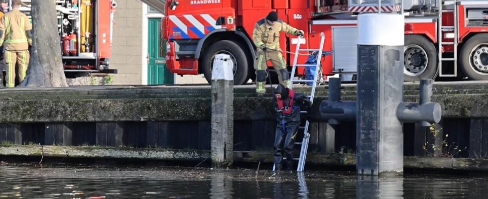 Im Wasser gefundene Leichen gehoerten Passagieren bei toedlichem Unfall in