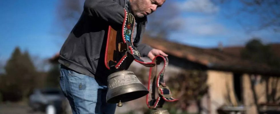 Impfung Schweizer Dorf stimmt dafuer dass die Kuhglocken weiterhin laeuten