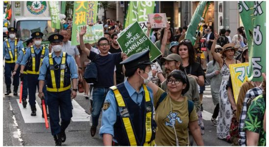 Japan will Medikamente auf Cannabisbasis legalisieren