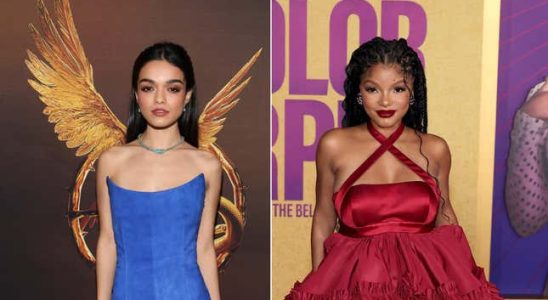 Rachel Zegler und Halle Bailey vergleichen Notizen zu Online Belaestigung