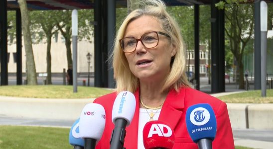 Sigrid Kaag blickt zurueck „Grobheit und Intoleranz haben mich enttaeuscht