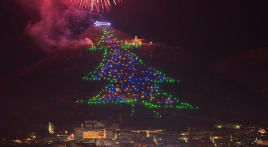 Sind Sie auf der Suche nach einem nachhaltigen Weihnachtsbaum „Die