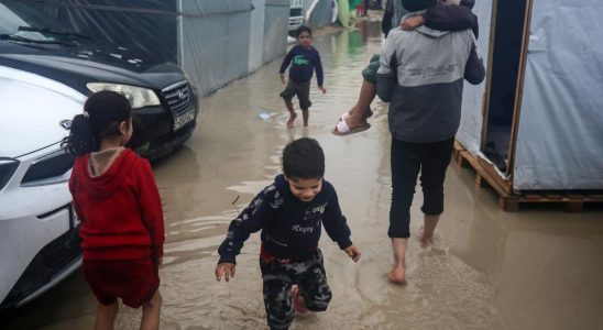 UN befuerchtet Gesundheitskatastrophe in Gaza humanitaere Hilfe gefaehrdet Krieg