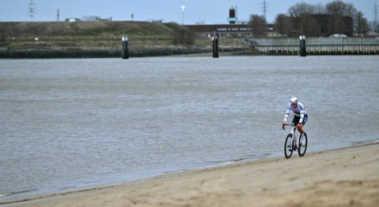 Van der Poel scheint besser denn je „Nach einer Beschleunigung