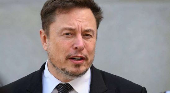 Vielfalt Elon Musk sagt Vielfalt Gerechtigkeit und Inklusion seien „Propagandawoerter