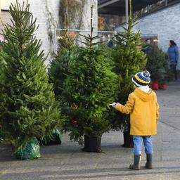 Weihnachtsbaeume sind schwer zu bekommen aber Kugeln und Spitzen sind