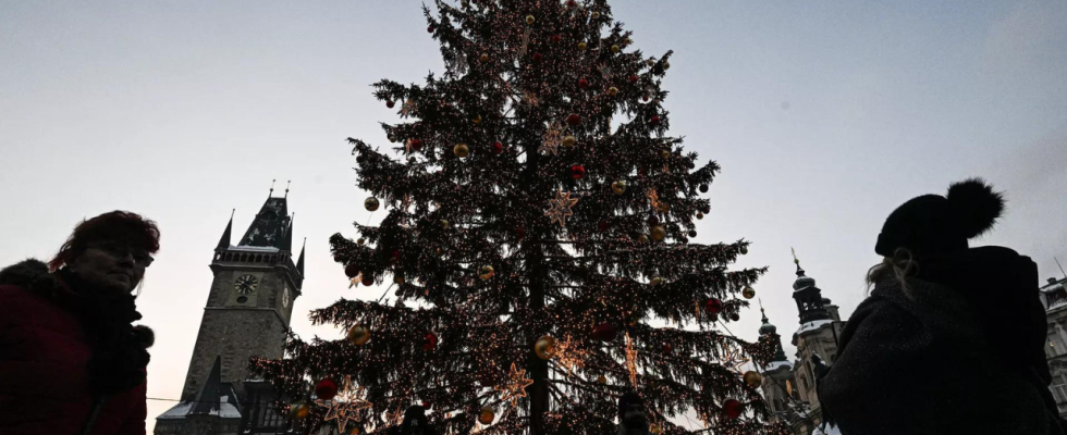 Weihnachtsbaum Frau wurde auf belgischem Marktplatz von umstuerzendem Weihnachtsbaum getoetet