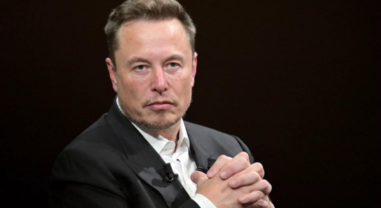 ​Elon Musk Inklusion Vielfalt und Gerechtigkeit sind „Propagandawoerter