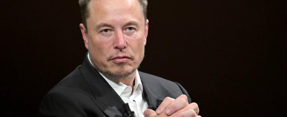 ​Elon Musk Inklusion Vielfalt und Gerechtigkeit sind „Propagandawoerter