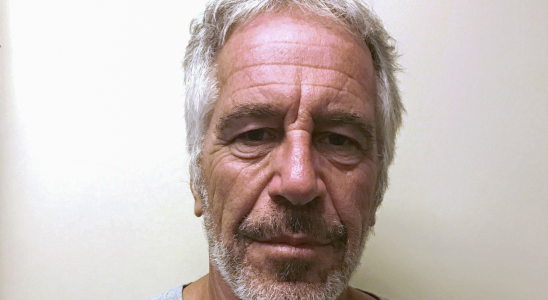 Anzuegliche Begriffe Codewoerter im Fall Epstein Alles was Sie darueber