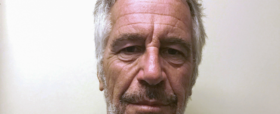 Anzuegliche Begriffe Codewoerter im Fall Epstein Alles was Sie darueber