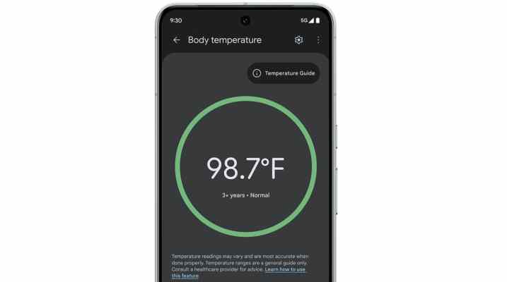 Benutzer von Pixel 8 Pro koennen jetzt die Thermometer App verwenden