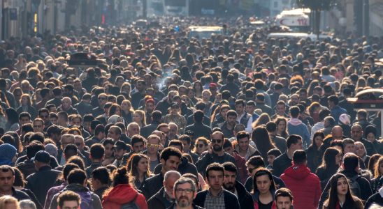 Bevoelkerung in den Niederlanden waechst weniger schnell kleine Gemeinden leeren