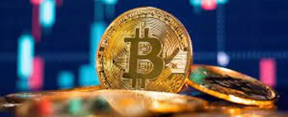 Bitcoin Betrug Wie eine Frau in Maharashtra 27 Lakh Rupien Bitcoin Betrug