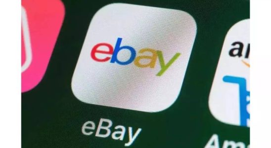 Blutige Schweinemaske lebende Spinnen und Kakerlaken eBay zahlt 3 Millionen