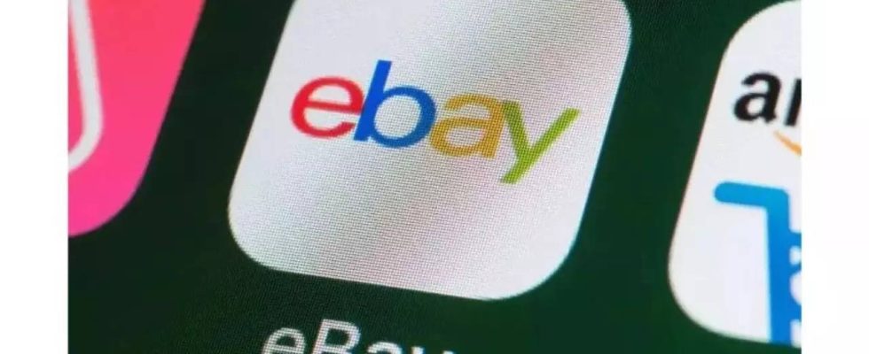 Blutige Schweinemaske lebende Spinnen und Kakerlaken eBay zahlt 3 Millionen