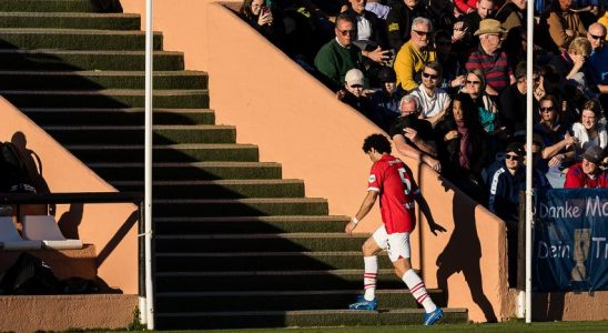 Bosz nach Chaos beim PSV Trainingsspiel „HSV Trainer wollte nicht weiterspielen