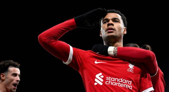 Der punktende Gakpo versetzt Liverpool den ersten Schlag gegen Fulham