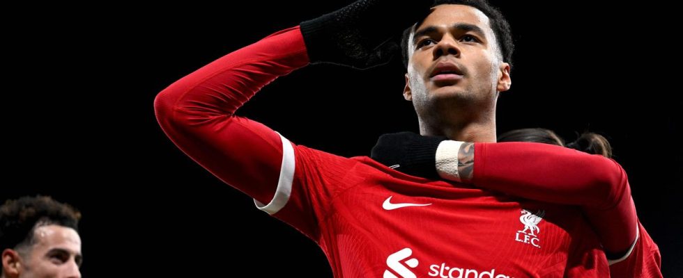 Der punktende Gakpo versetzt Liverpool den ersten Schlag gegen Fulham