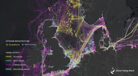 Die Analyse von Satellitenbildern zeigt das immense Ausmass der dunklen