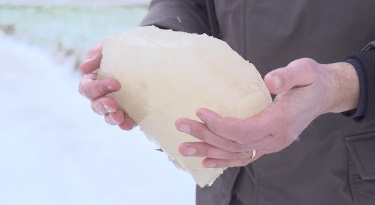 Die Eislaufliebe der Eismeister „Freut mich wenn man aufs Eis