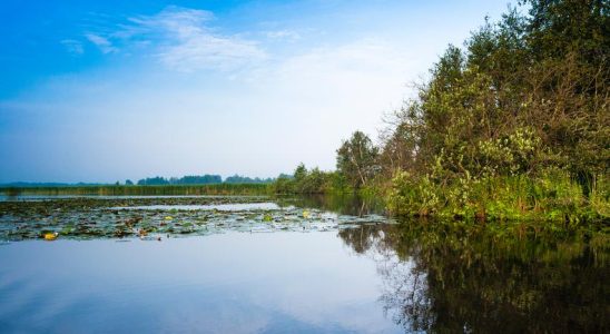 Die Wasserkrise „Folgen mindestens so schwerwiegend wie Stickstoff Inlaendisch