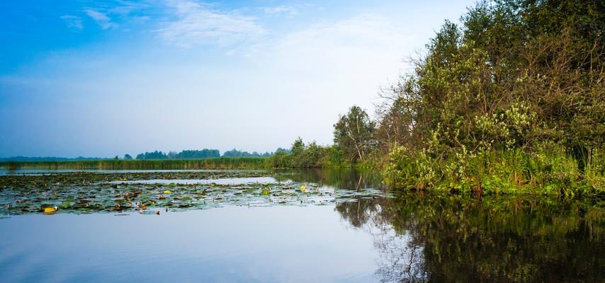 Die Wasserkrise „Folgen mindestens so schwerwiegend wie Stickstoff Inlaendisch