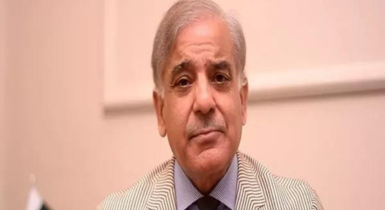 Eine Verzoegerung der Wahlen waere fuer Pakistan schaedlich sagt Shehbaz