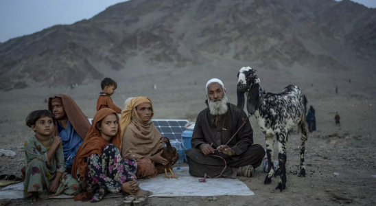 Eine halbe Million Afghanen kehren aus Pakistan zurueck Internationale Organisation