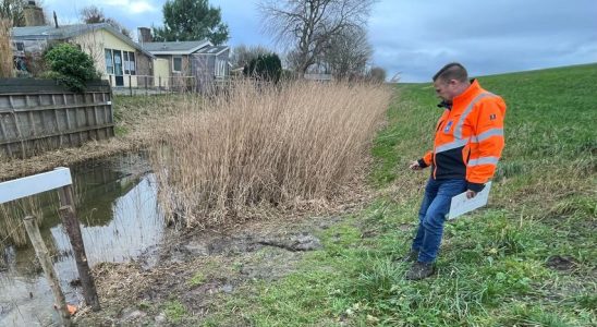 Habe wegen Hochwasser an einer Inspektion teilgenommen „Das habe ich