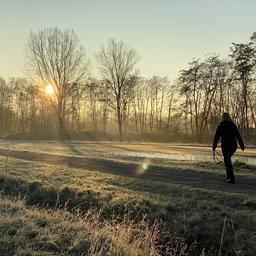 Ideales Wetter zum Ausgehen den ganzen Tag trocken und sonnig