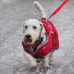 Im Nordosten ist es kalt genug fuer etwas nassen Schnee