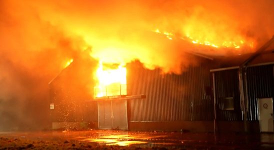 Mehr als 50000 Huehner starben bei einem Scheunenbrand in Gelders