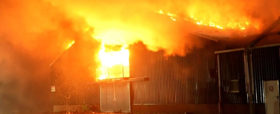 Mehr als 50000 Huehner starben bei einem Scheunenbrand in Gelders