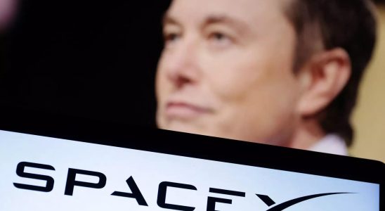 Musk SpaceX hat moeglicherweise Mitarbeiter entlassen weil sie Elon Musk