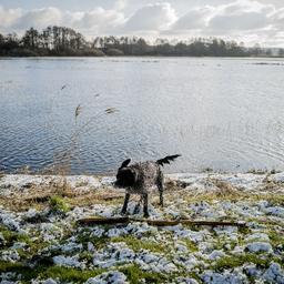 Nach sieben Tagen ist es soweit der erste offizielle Frosttag